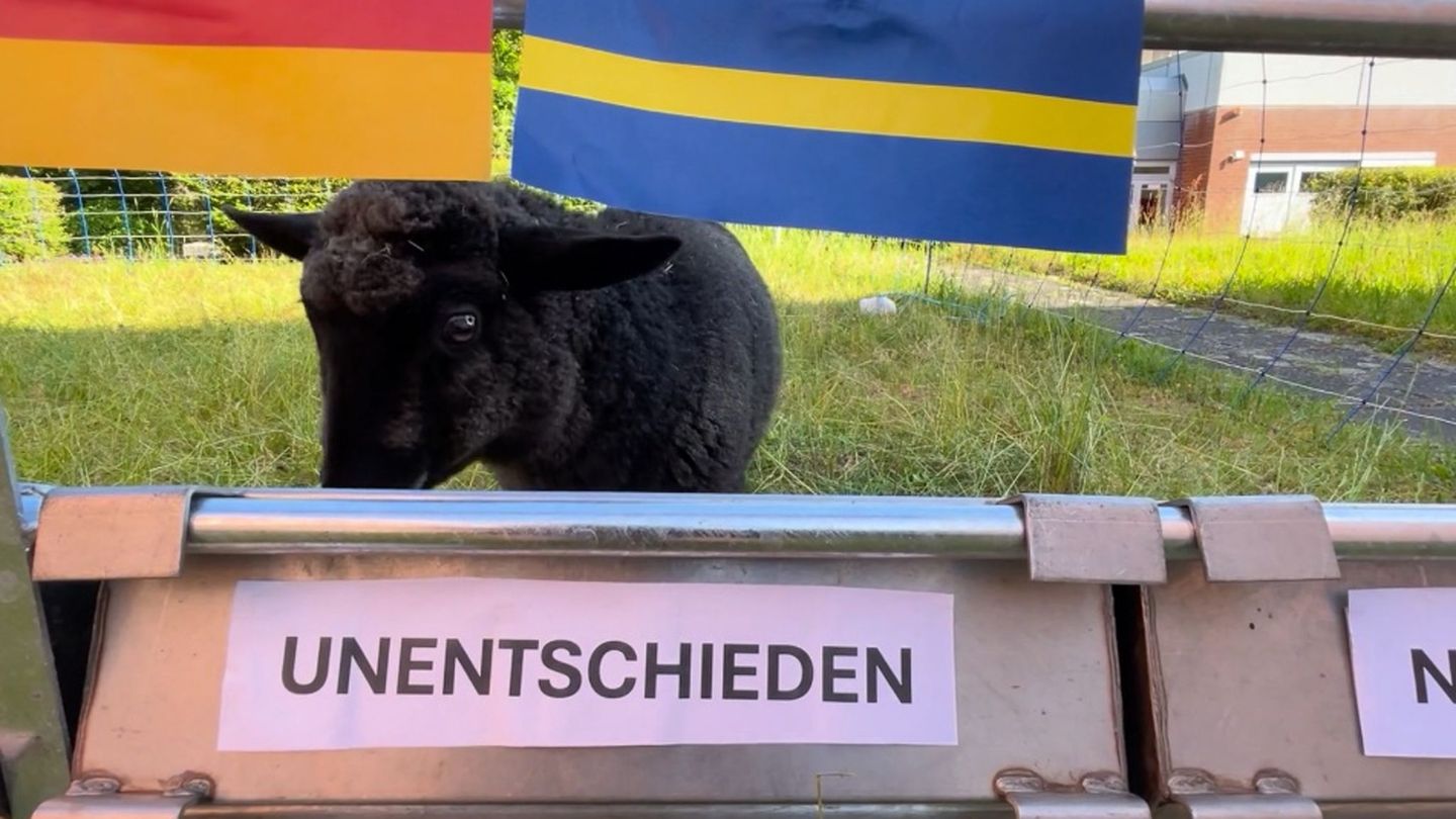 Hintergrund