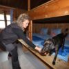 Ungeziefer: Spürhund und Mikrowelle: Berghütten kämpfen gegen Bettwanzen